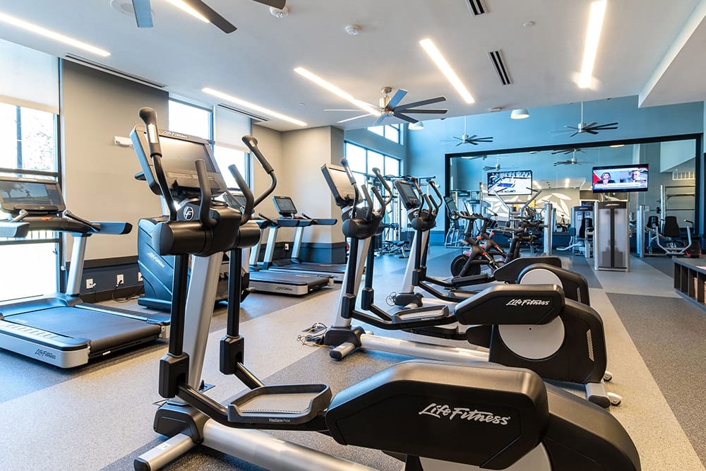 Cortland Oleander photo