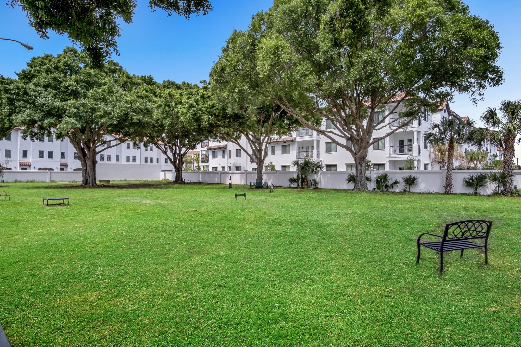 Cortland Bayport photo