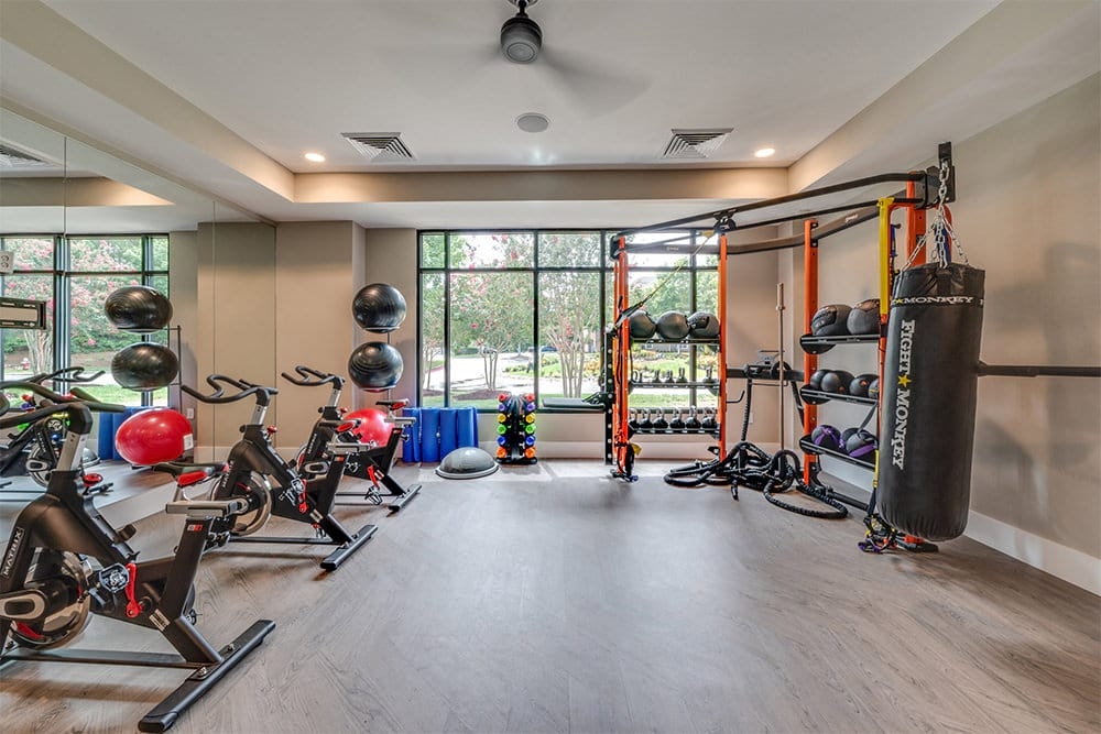 Cortland Falls River photo