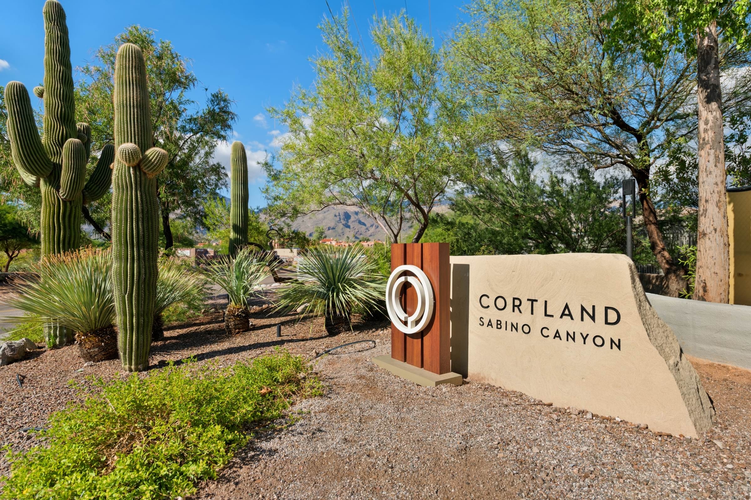 Cortland Sabino Canyon photo