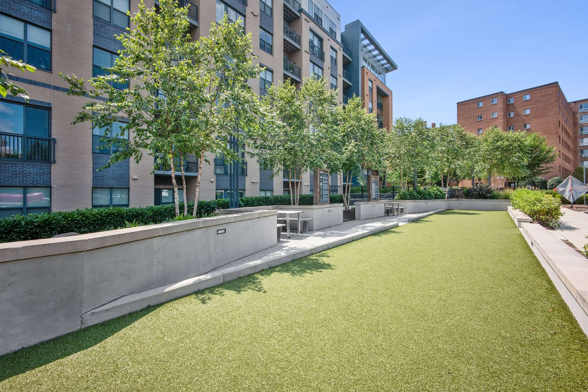 Cortland Columbia Pike photo