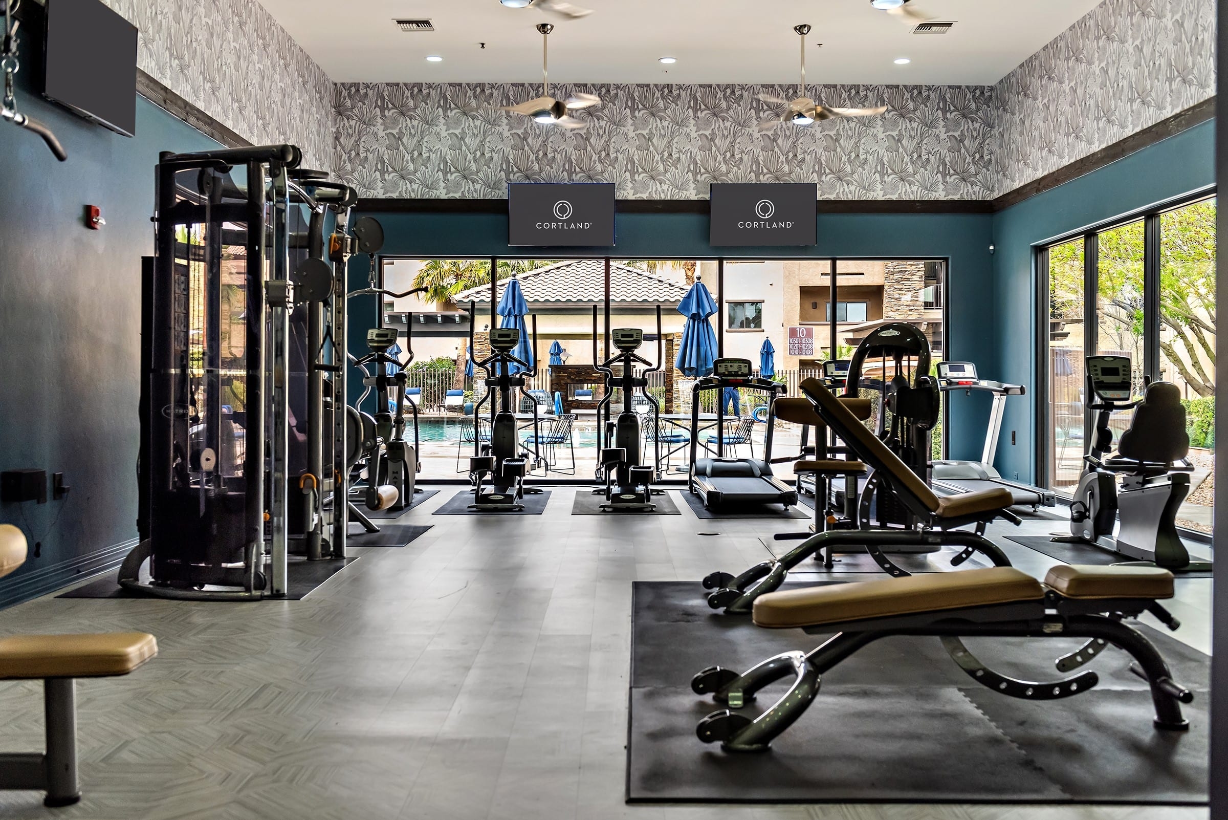 Cortland on the Loop photo