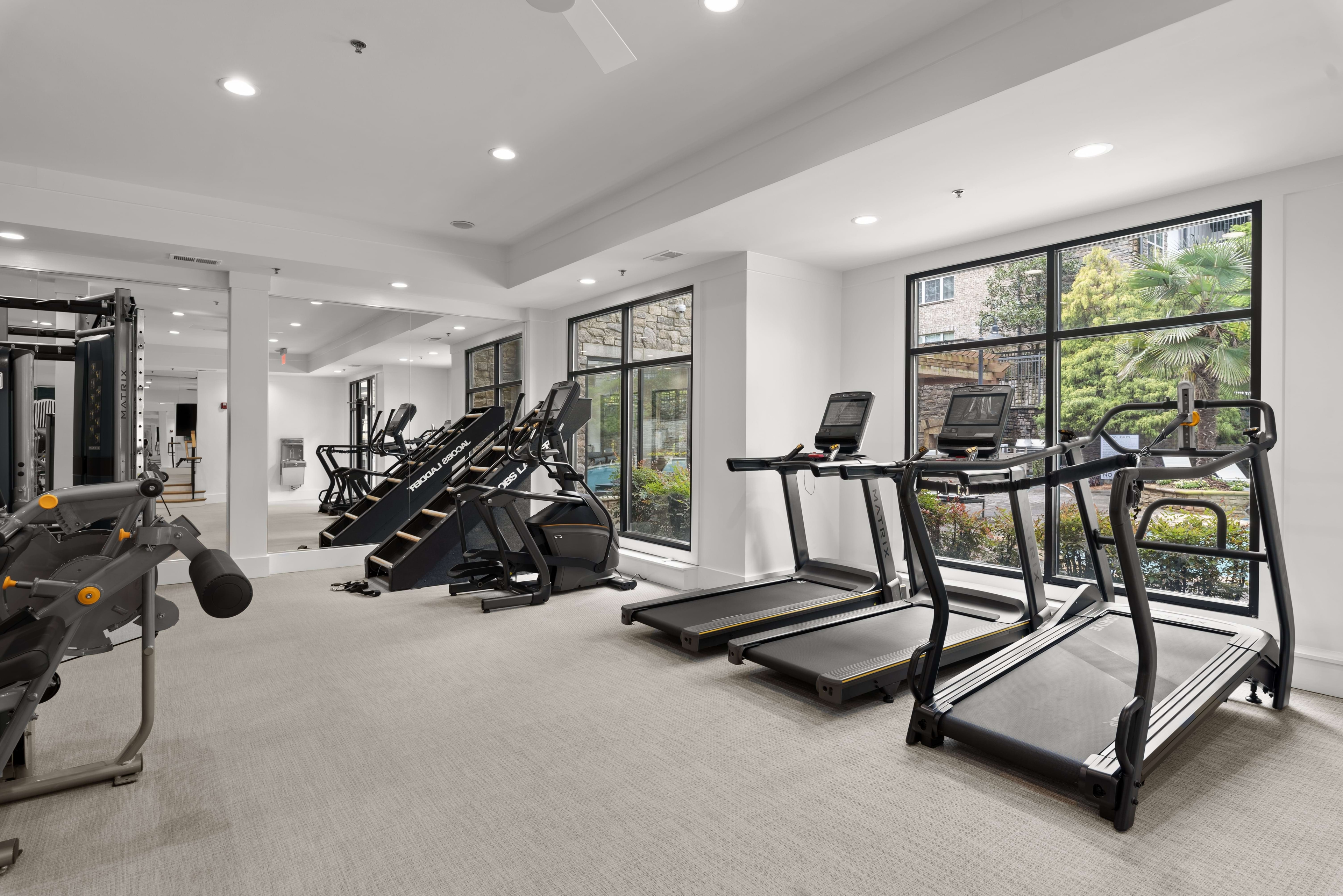 Cortland Oleander photo