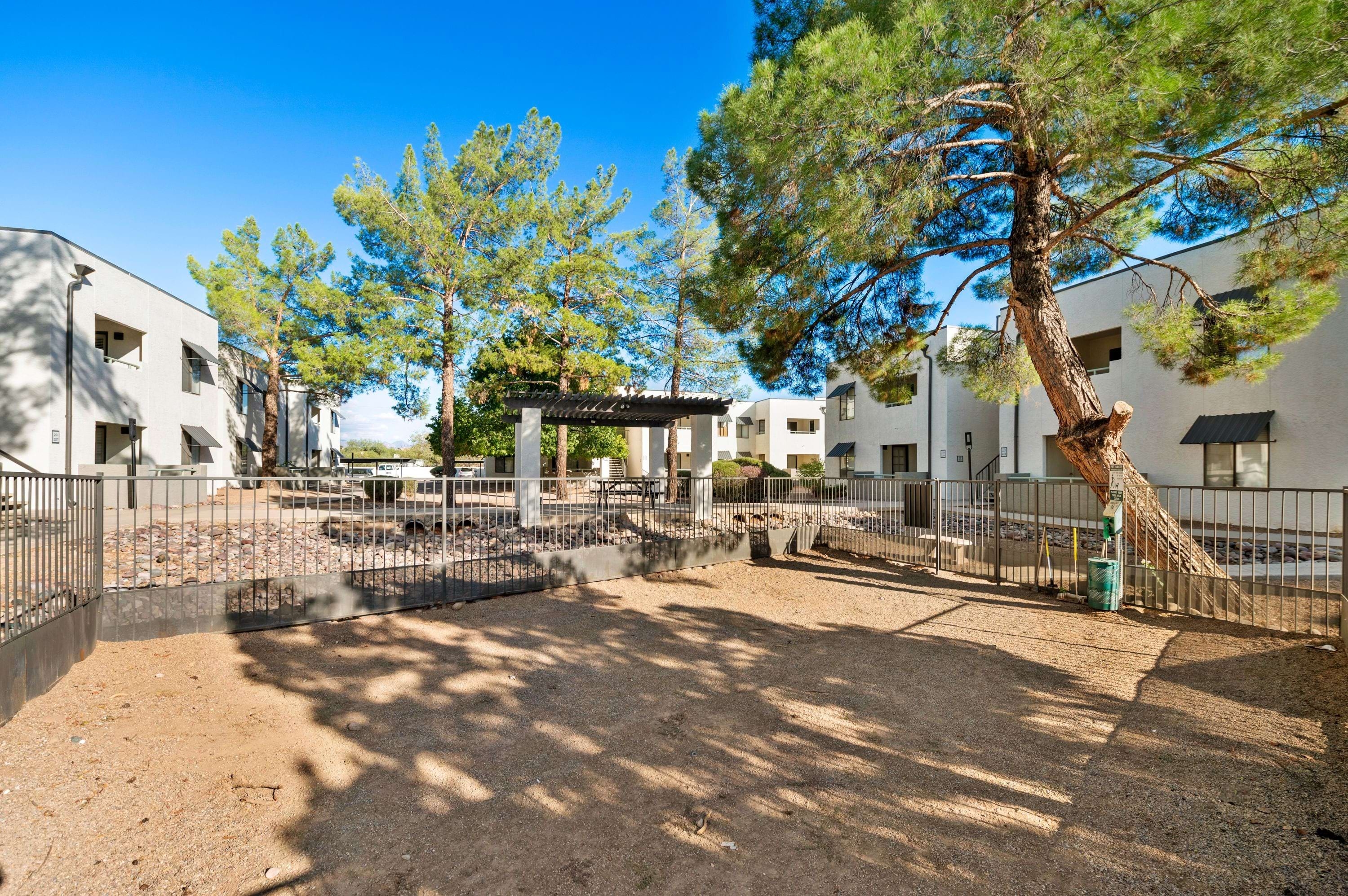 Cortland Sun River photo