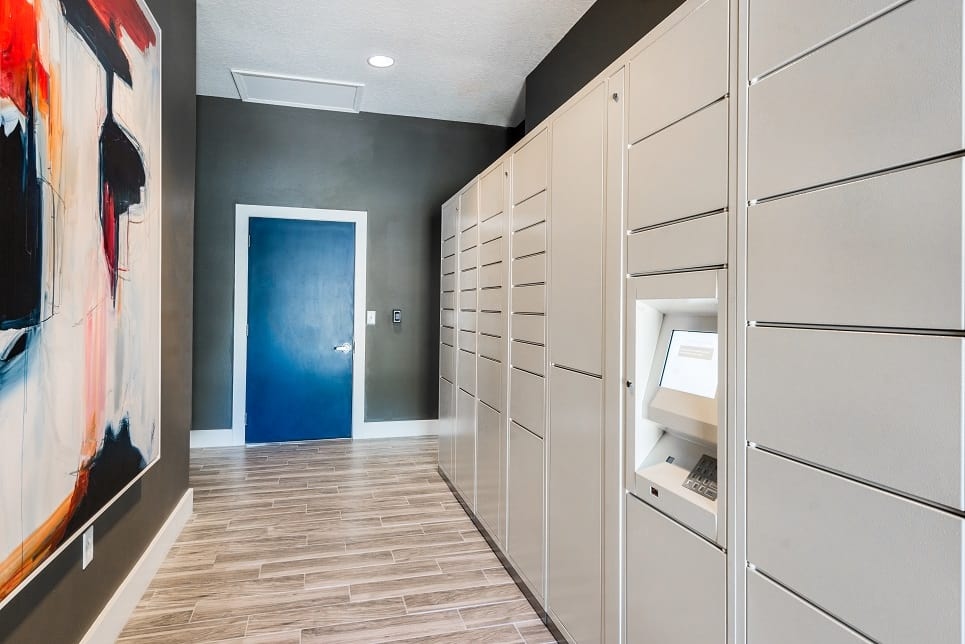 Cortland Lake Lotus photo