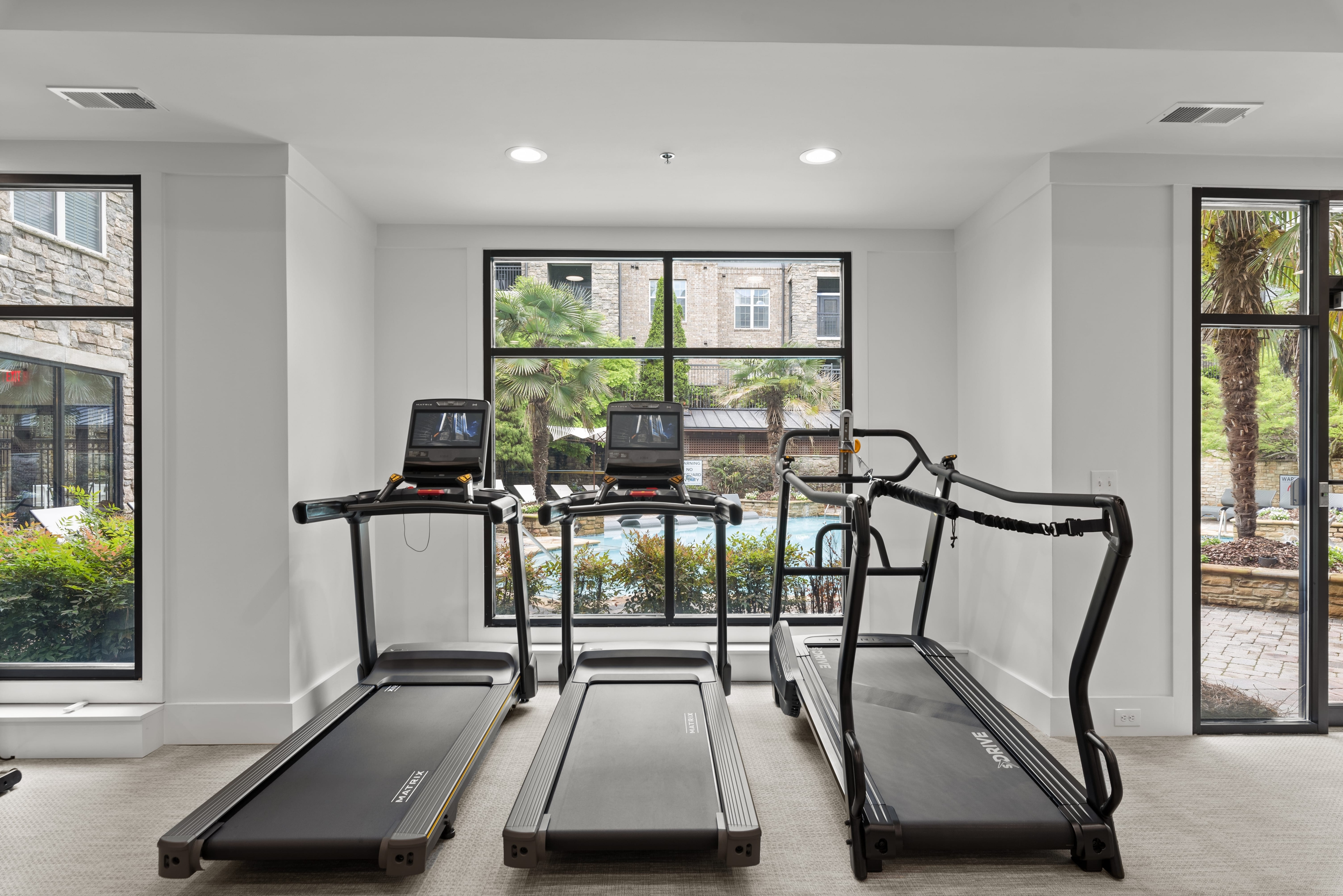 Cortland Oleander photo