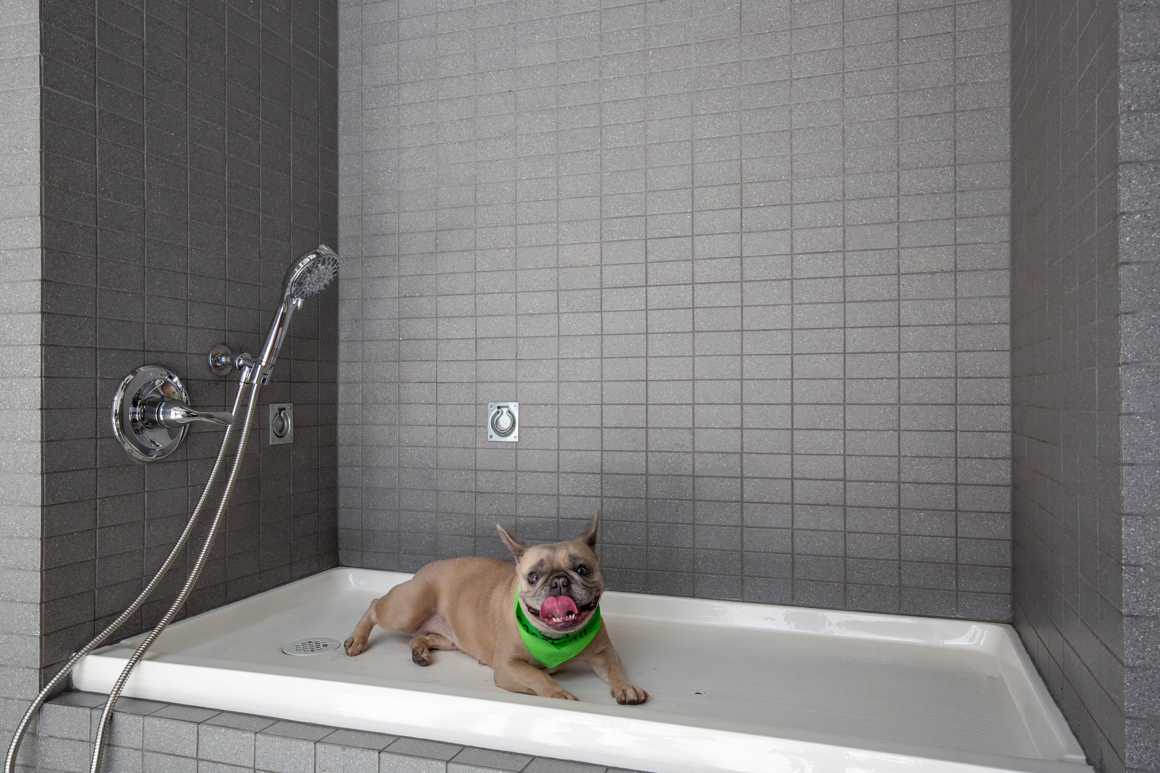 Cortland Alameda Station photo