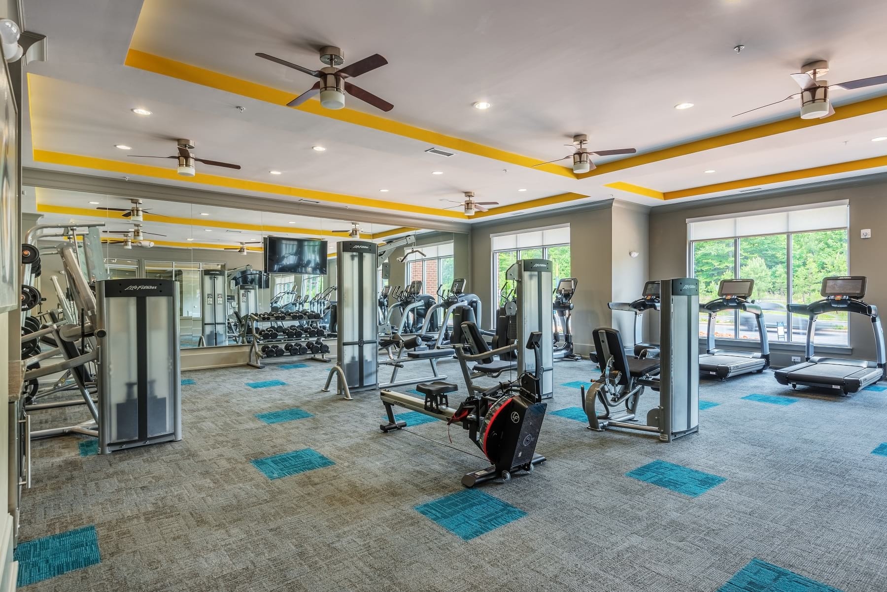 Cortland Wren Northlake photo