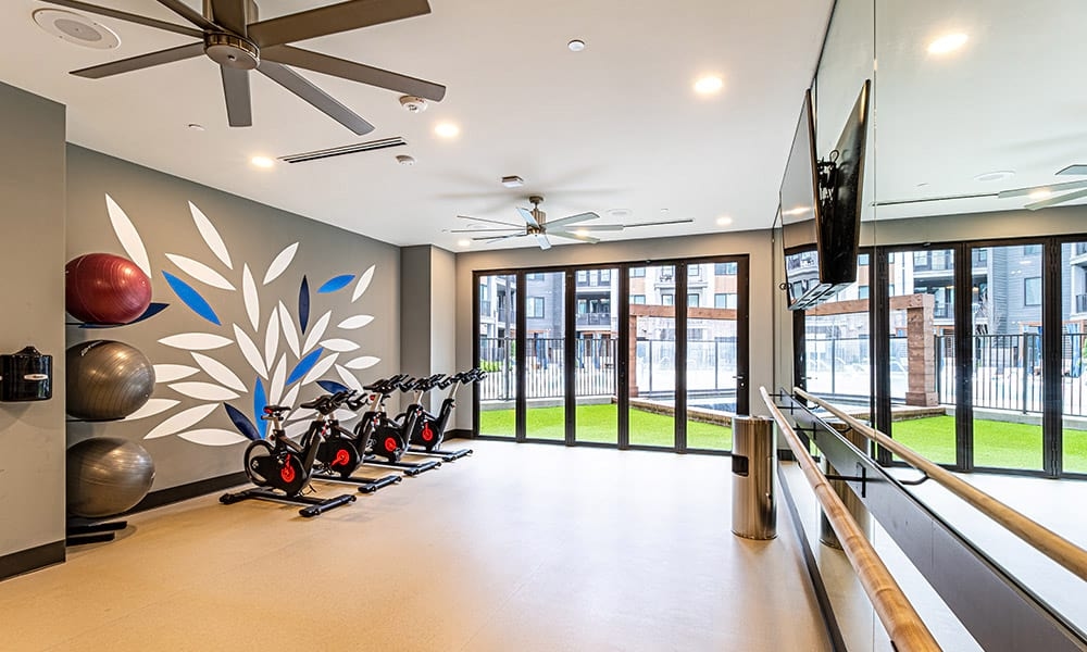 Cortland Oleander photo