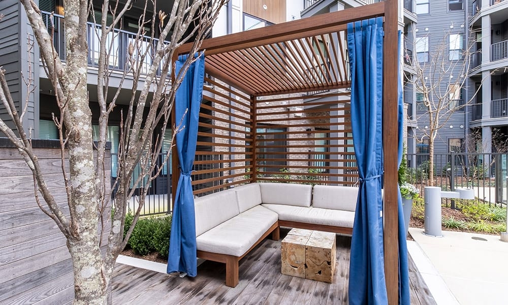 Cortland Oleander photo