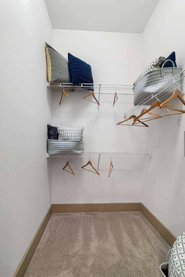 Cortland Galleria photo