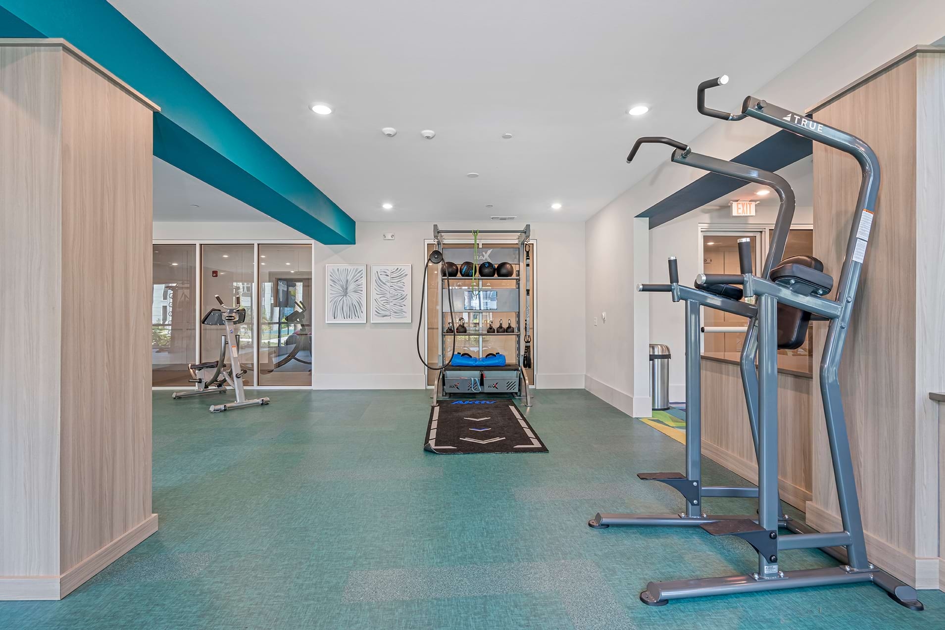 Cortland Satori photo