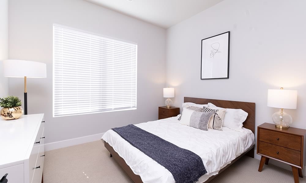 Cortland Oleander photo