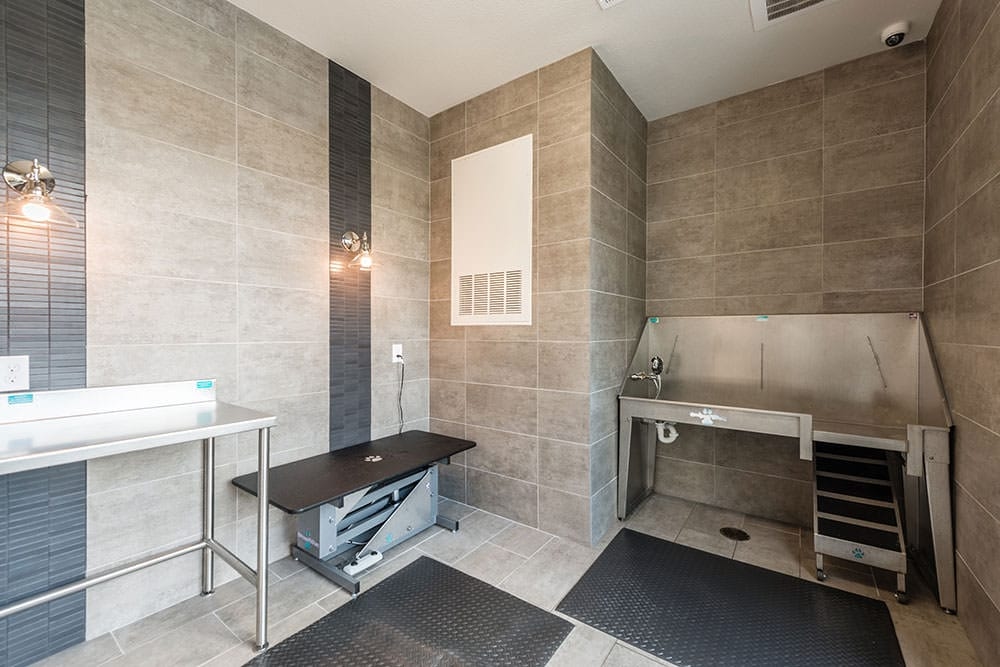 Cortland Luxe Shadow Creek photo