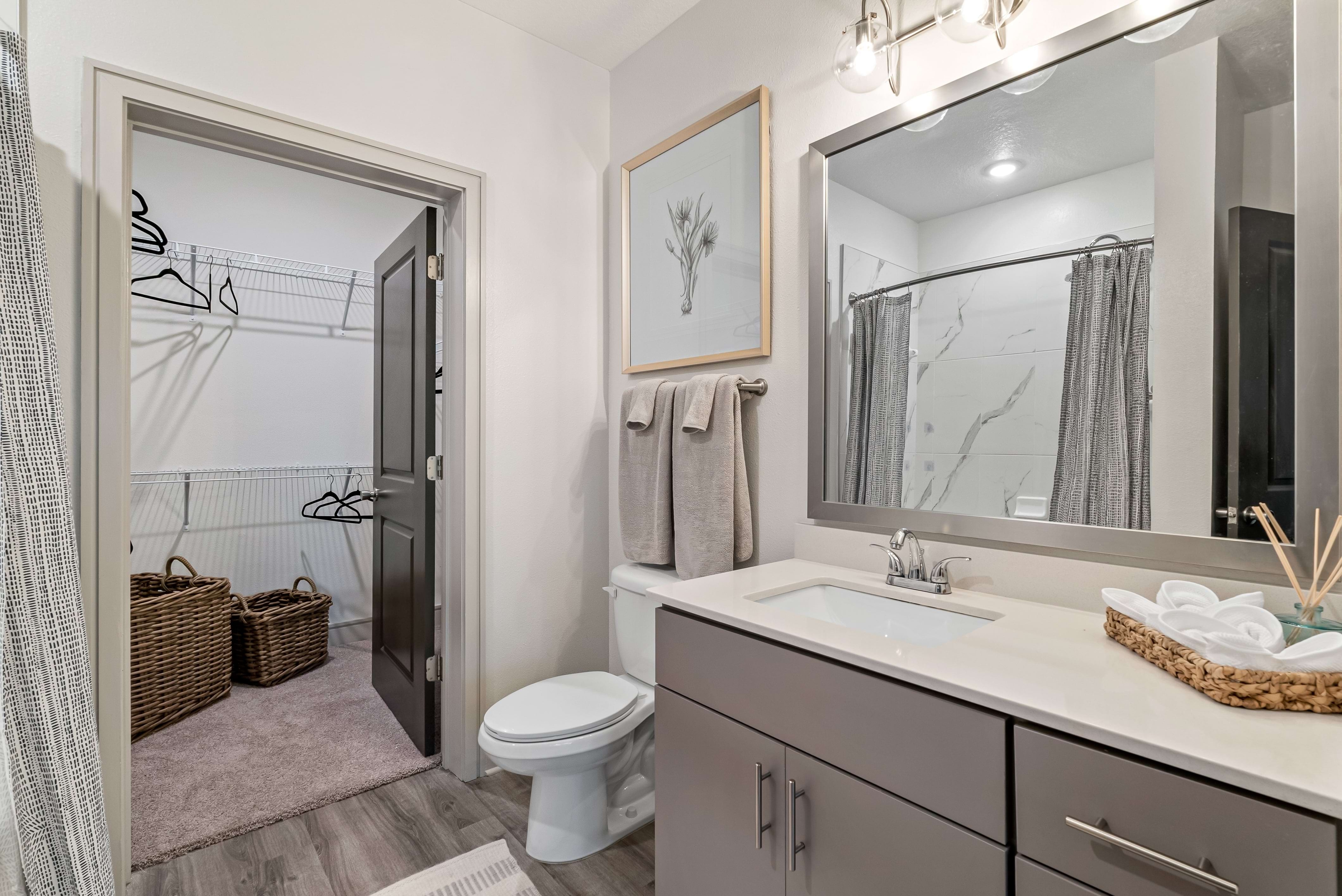 Cortland Satori photo