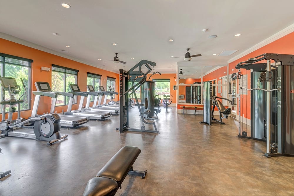 Cortland Belgate photo