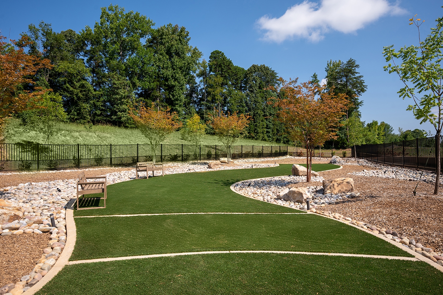 Cortland Wren Northlake photo