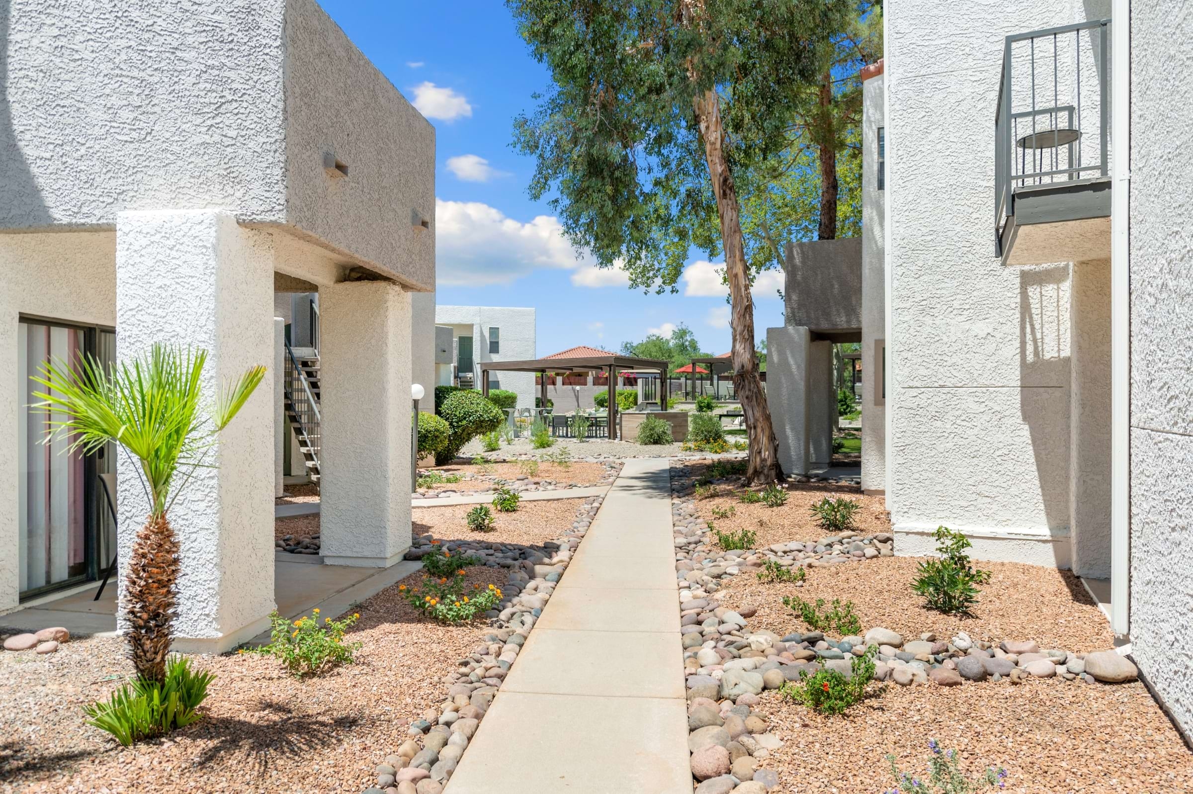 Cortland North Tucson photo