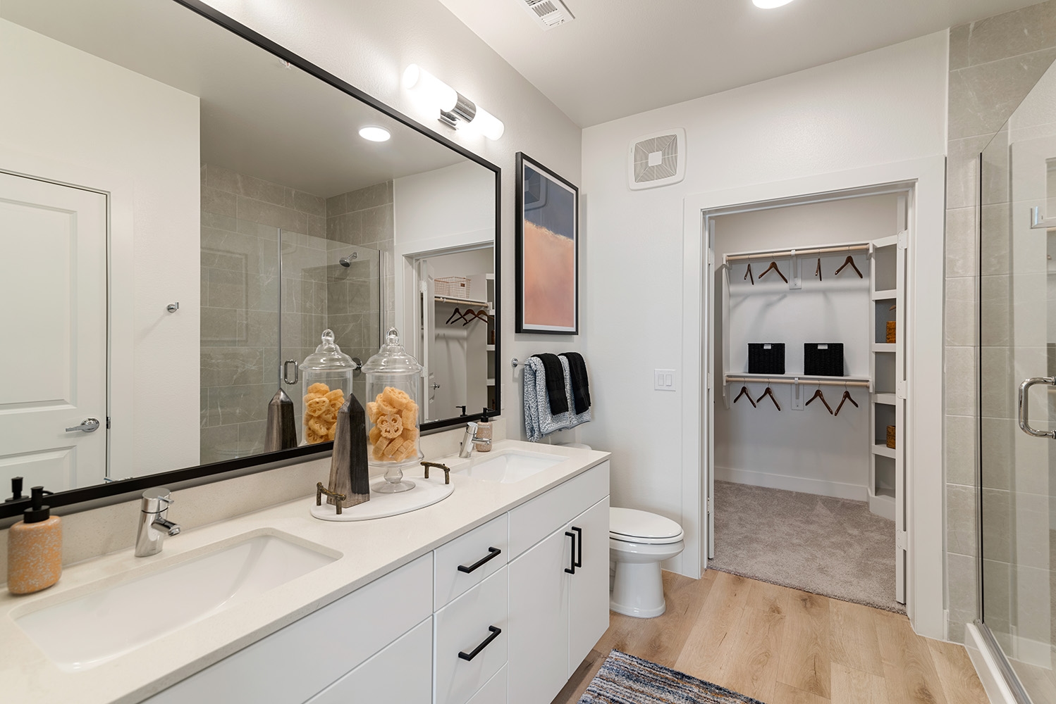 Cortland at Castle Hills photo