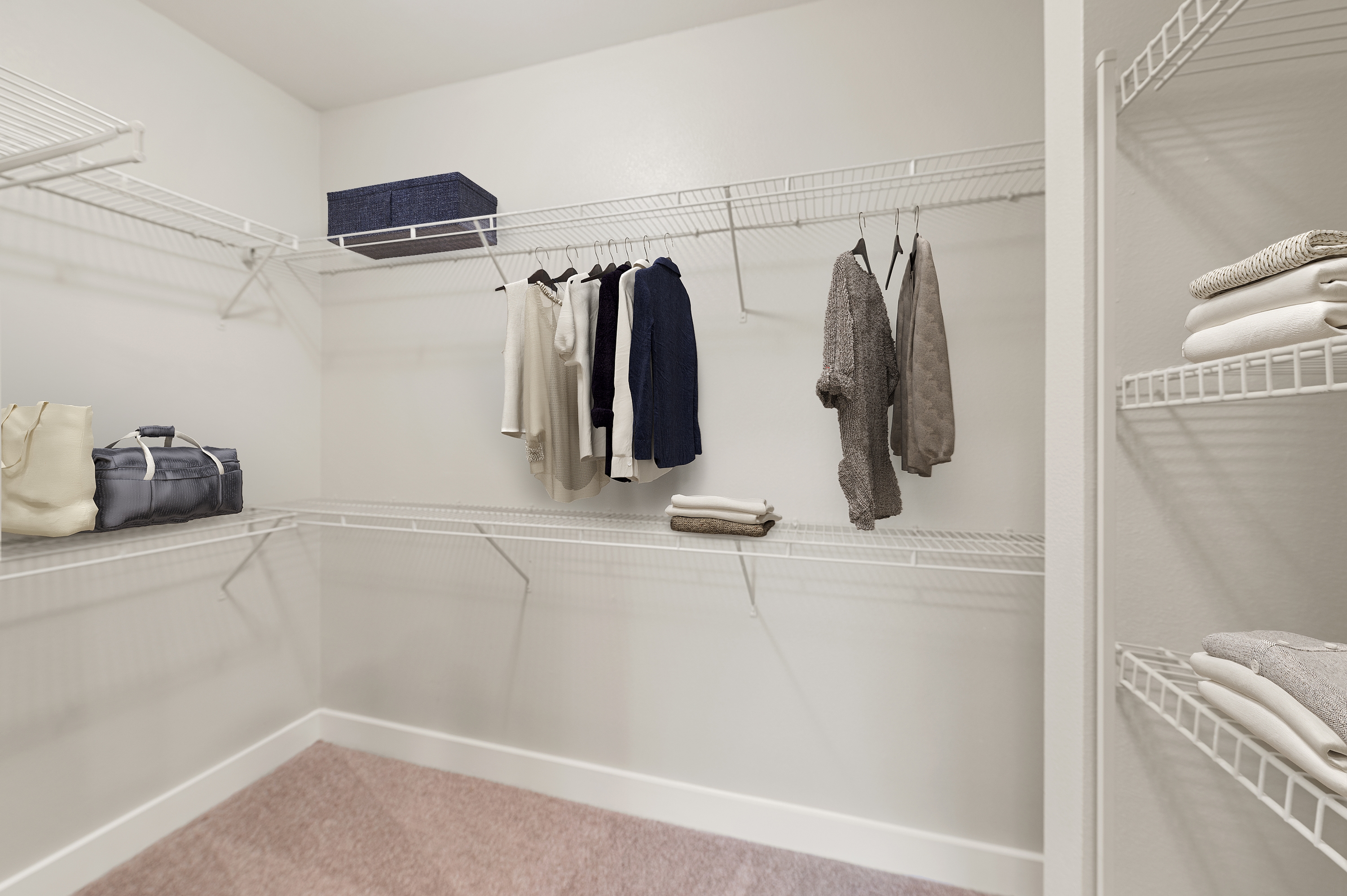 Cortland League City photo