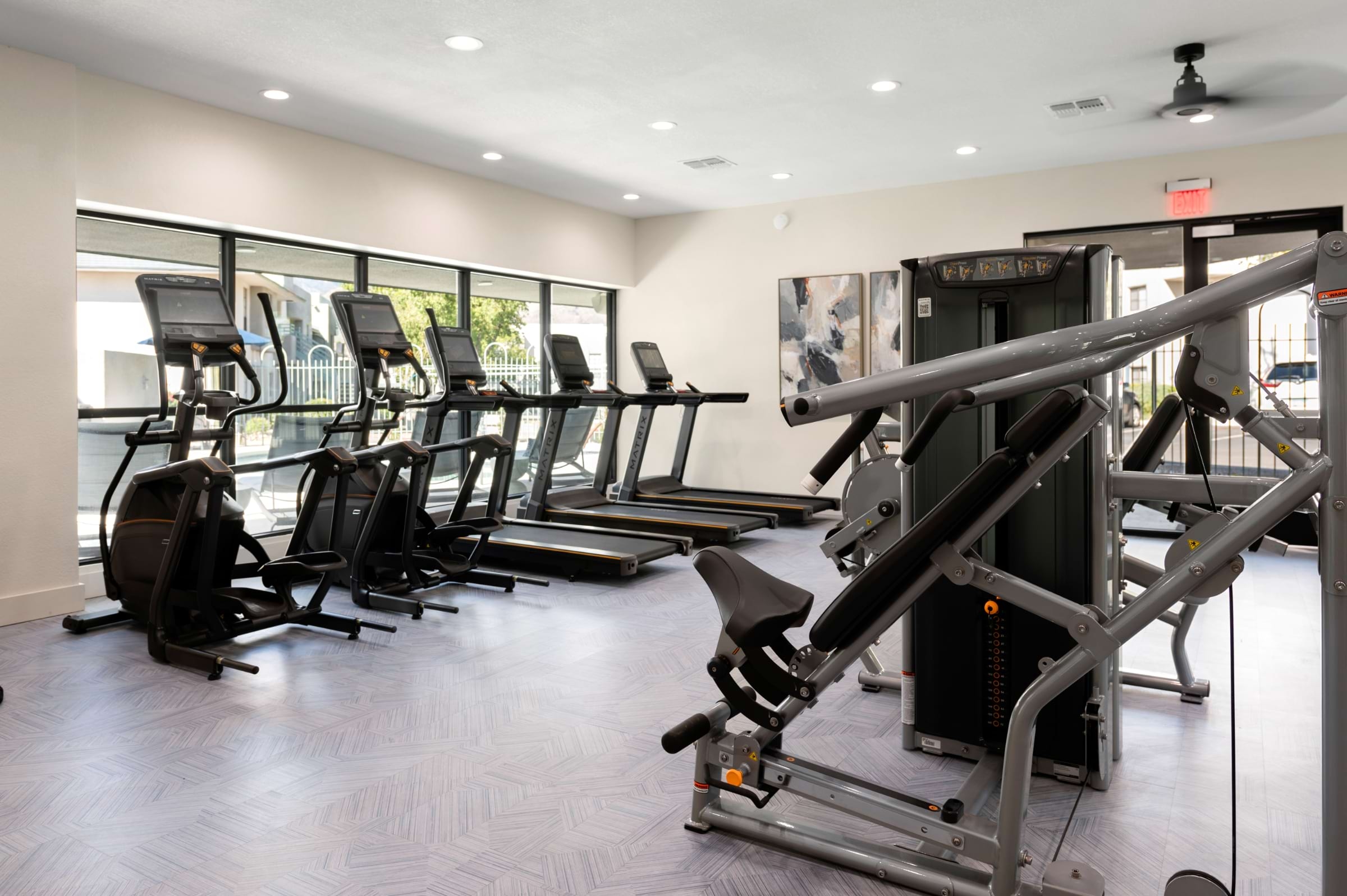 Cortland Sabino Canyon photo