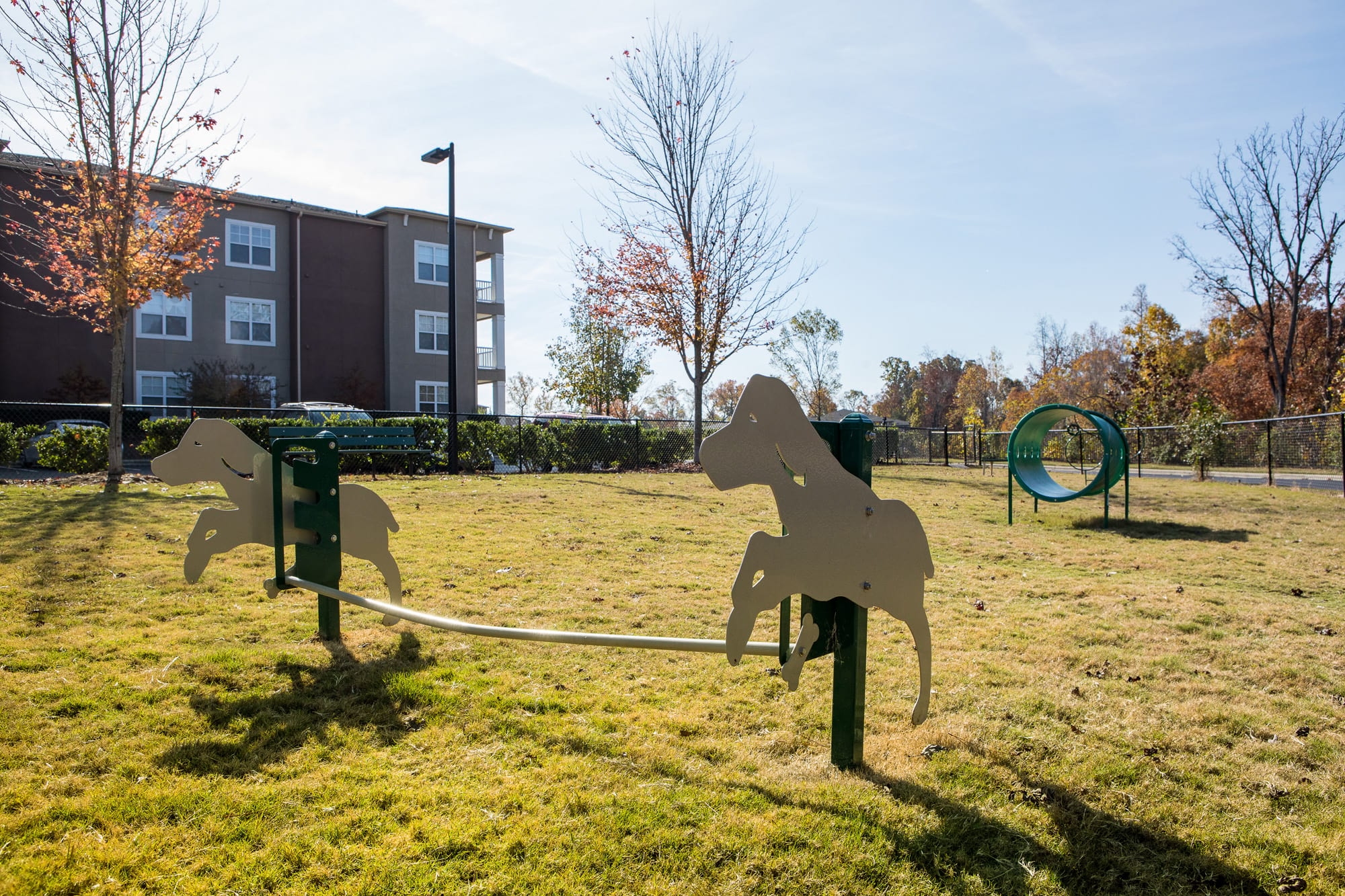 Cortland University City photo