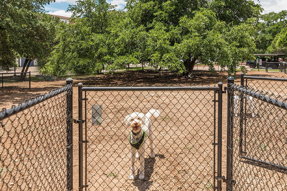 Paseo at Bee Cave photo