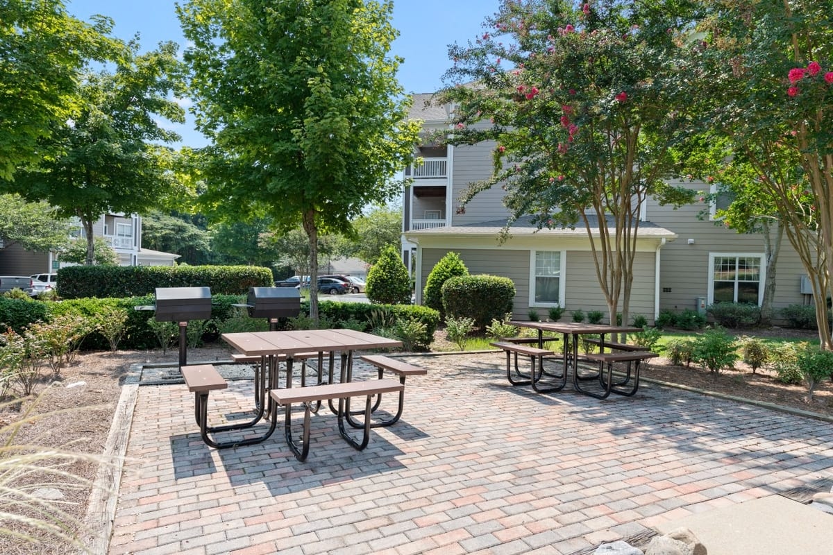 Cortland Falls River photo