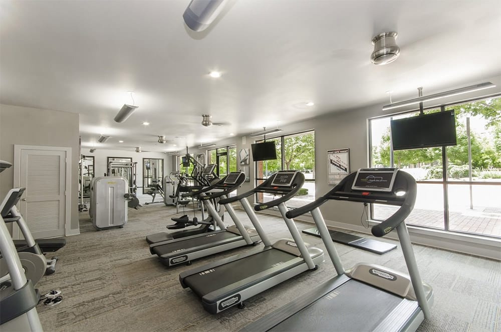 Cortland Addison Circle photo