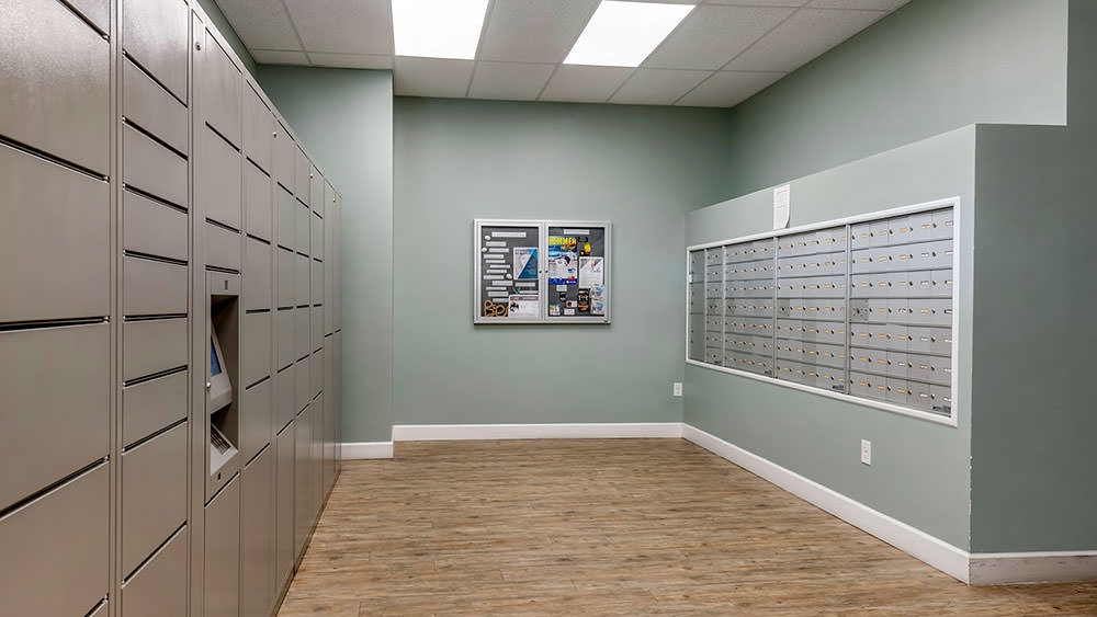 The Overlook at Daytona photo