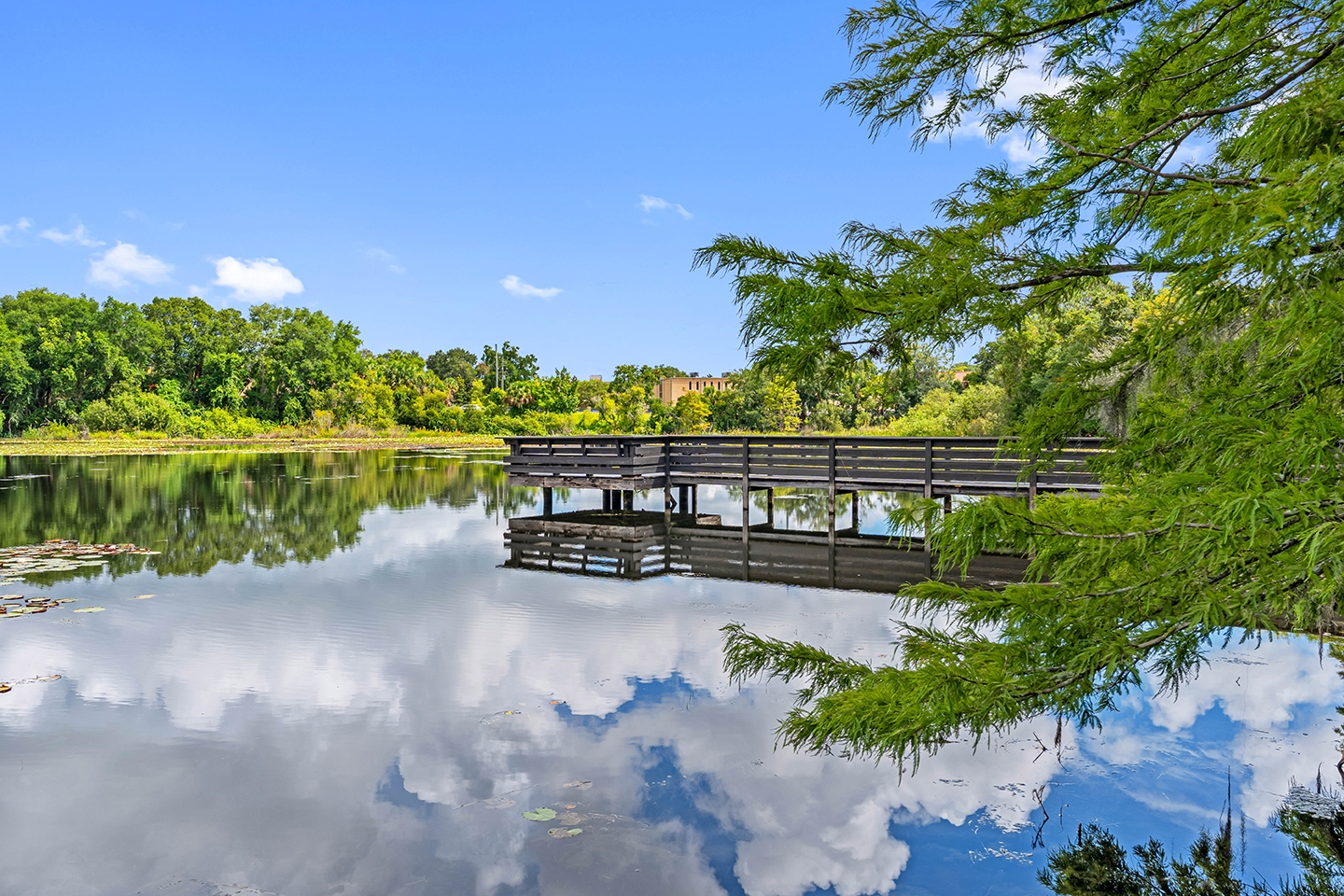 Cortland Mirror Lake photo