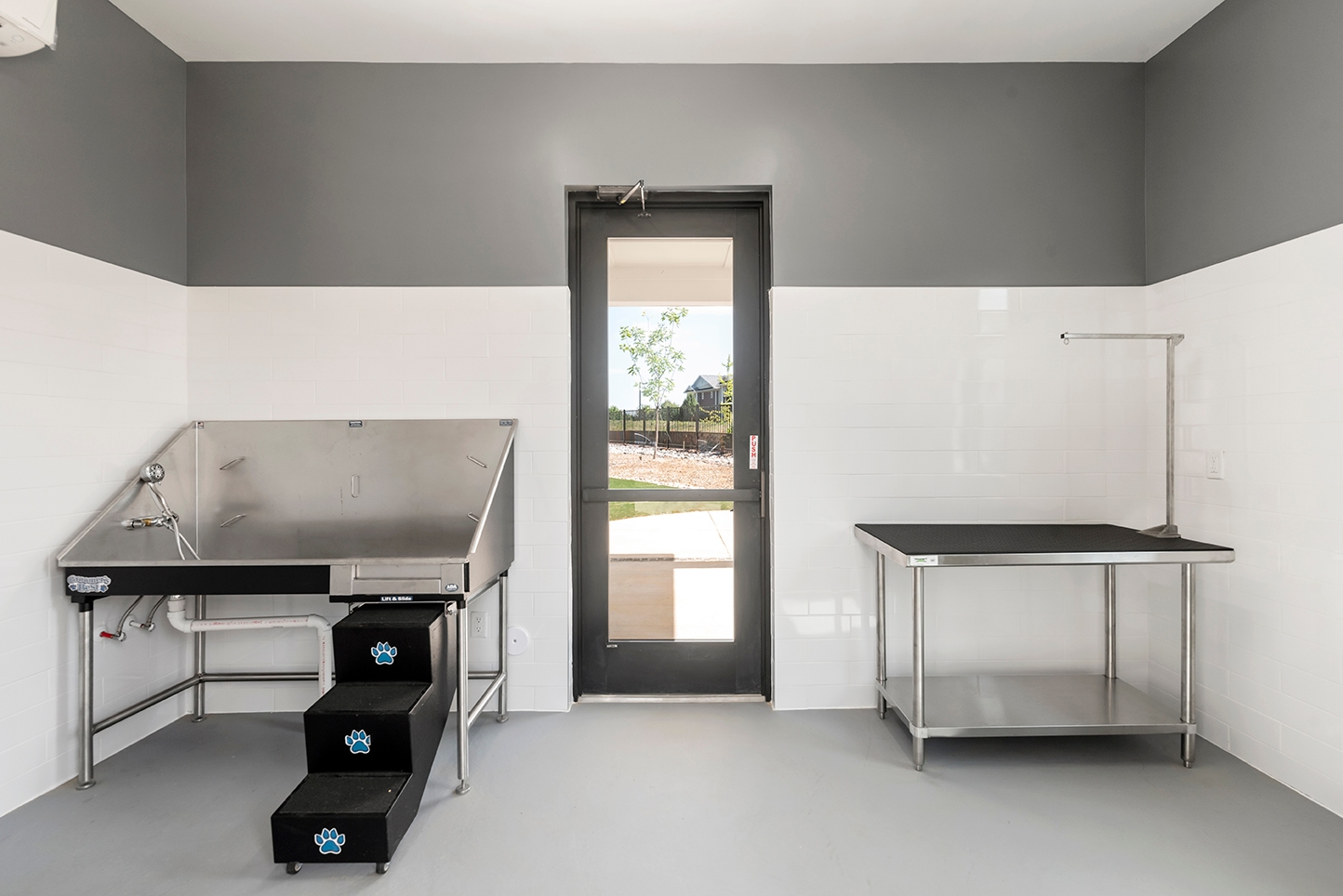 Cortland Wren Northlake photo