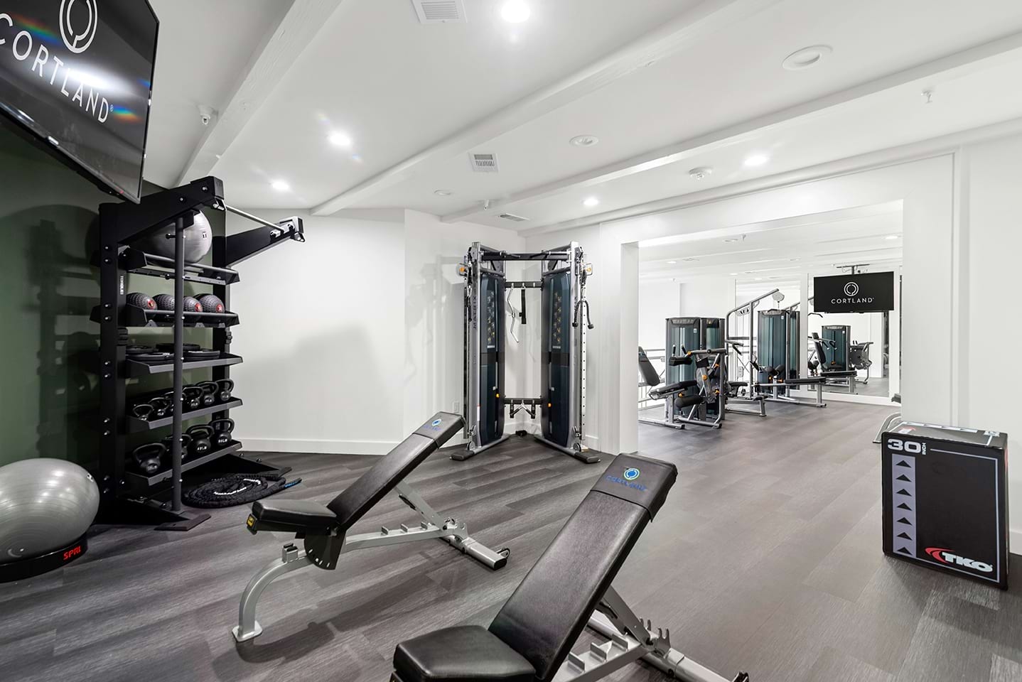 Cortland Legacy photo