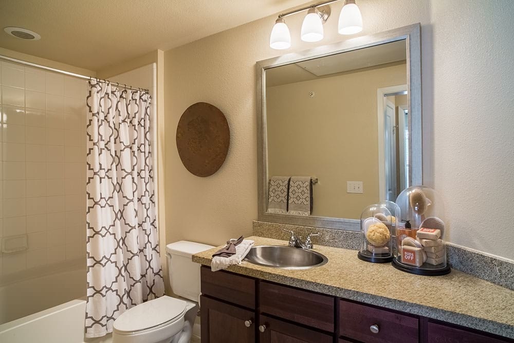 Cortland at Fredericksburg photo