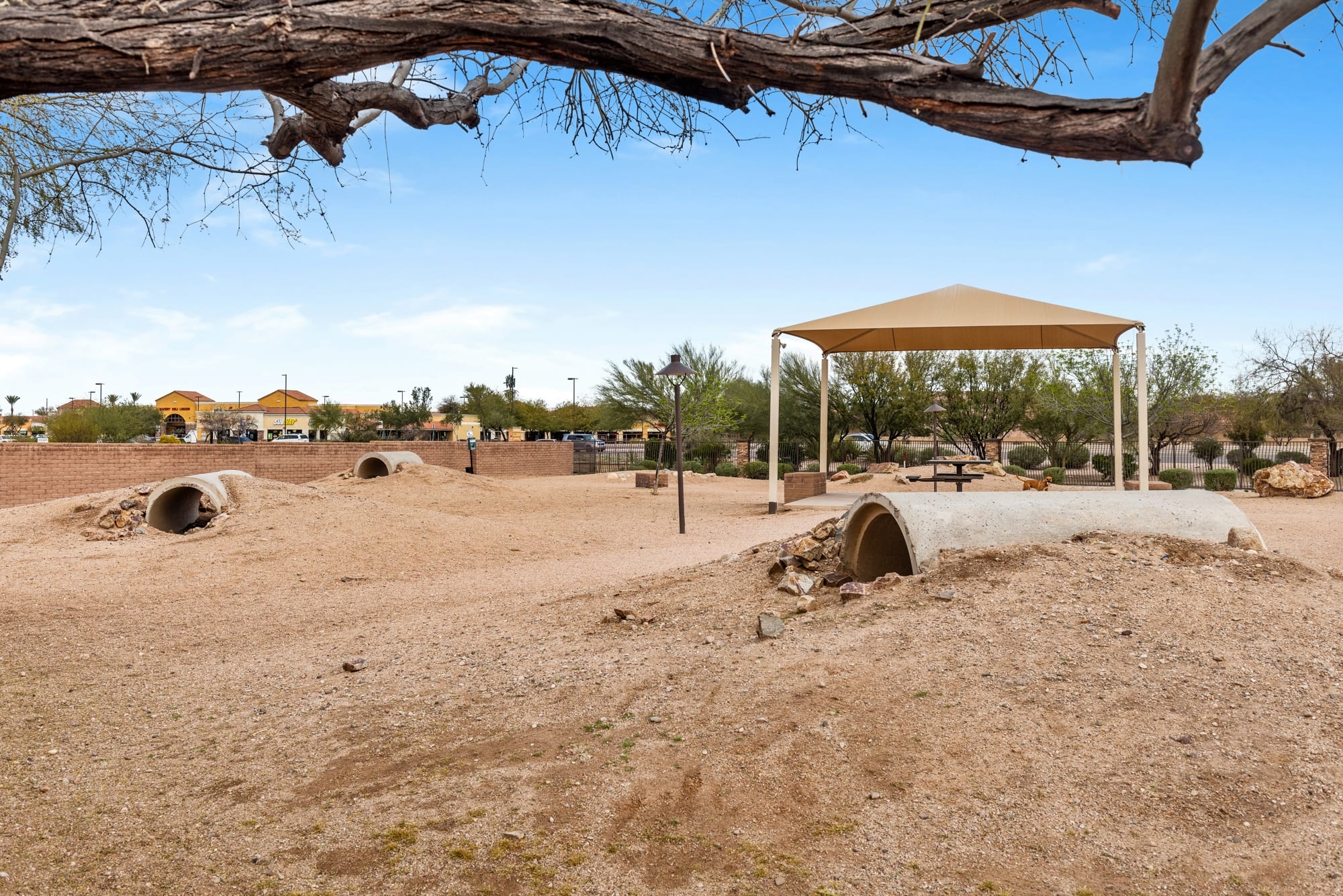 Cortland on the Loop photo