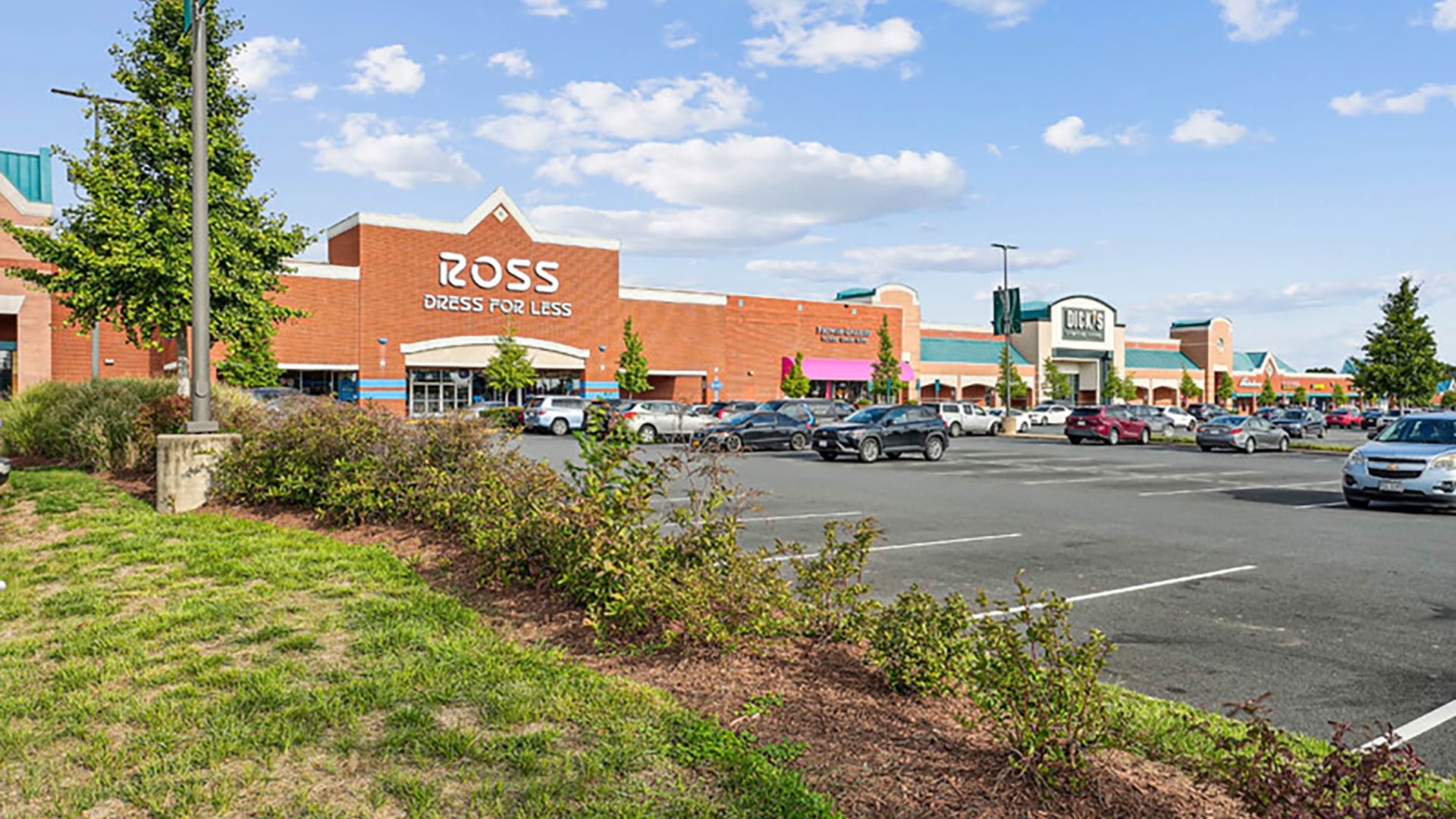 Cortland Manassas photo