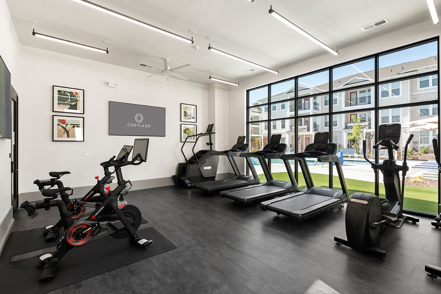 Cortland Wren Northlake photo