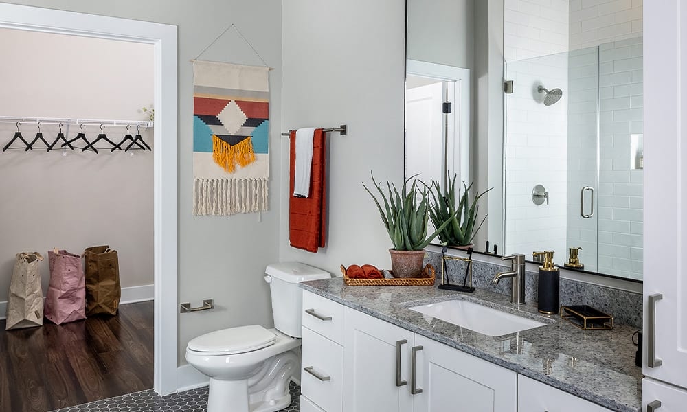 Cortland at the Nations photo