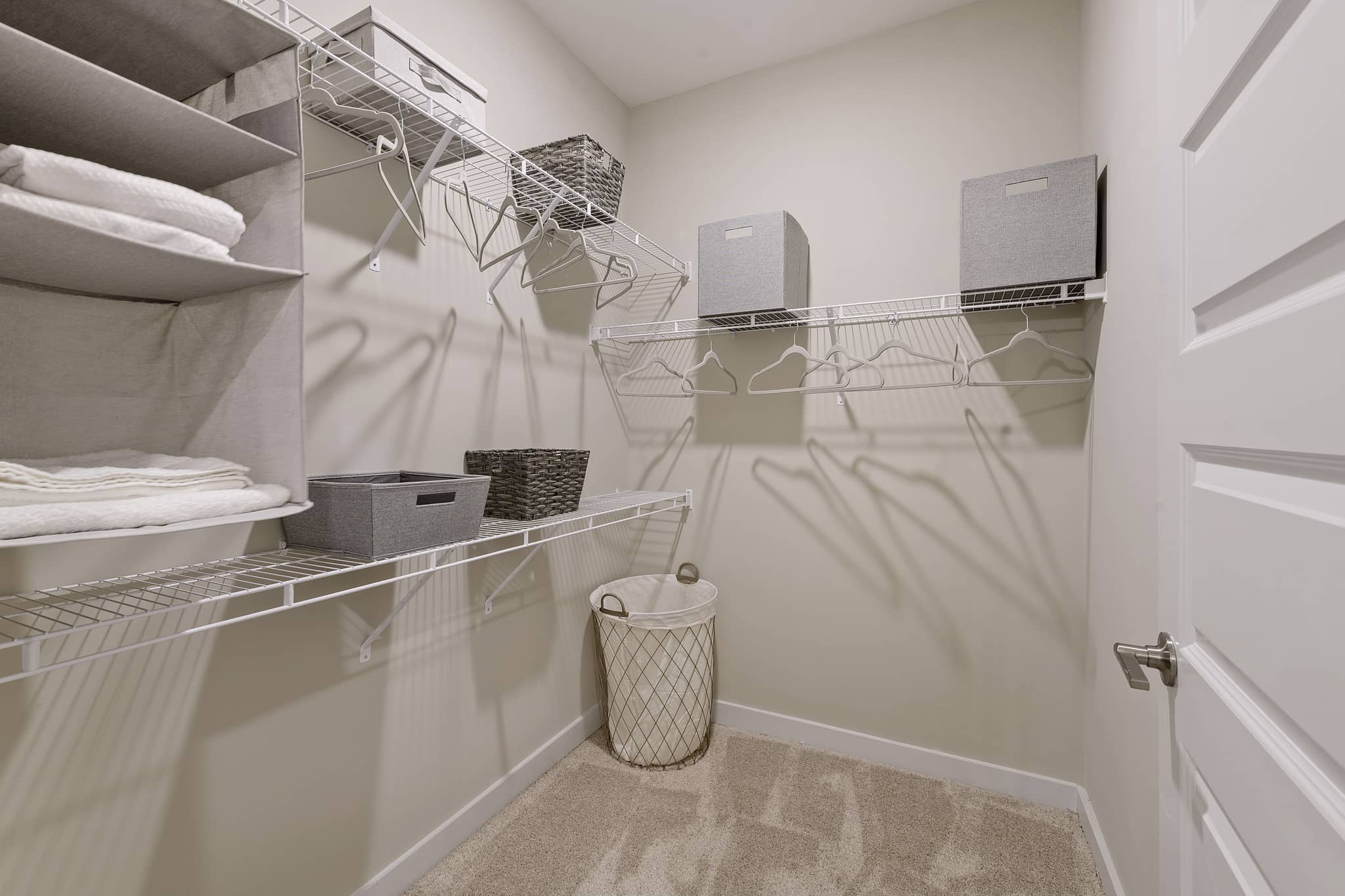 Cortland Bull City photo 17