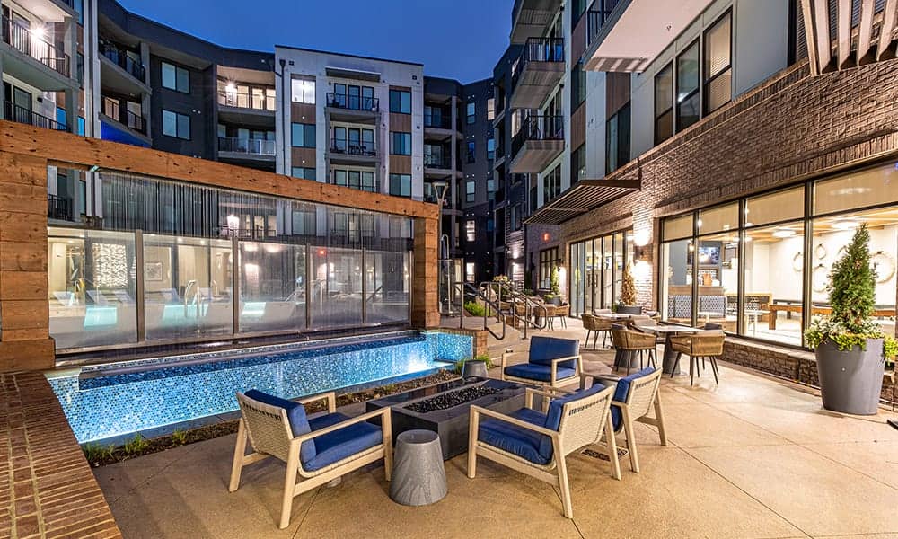 Cortland Oleander photo 39