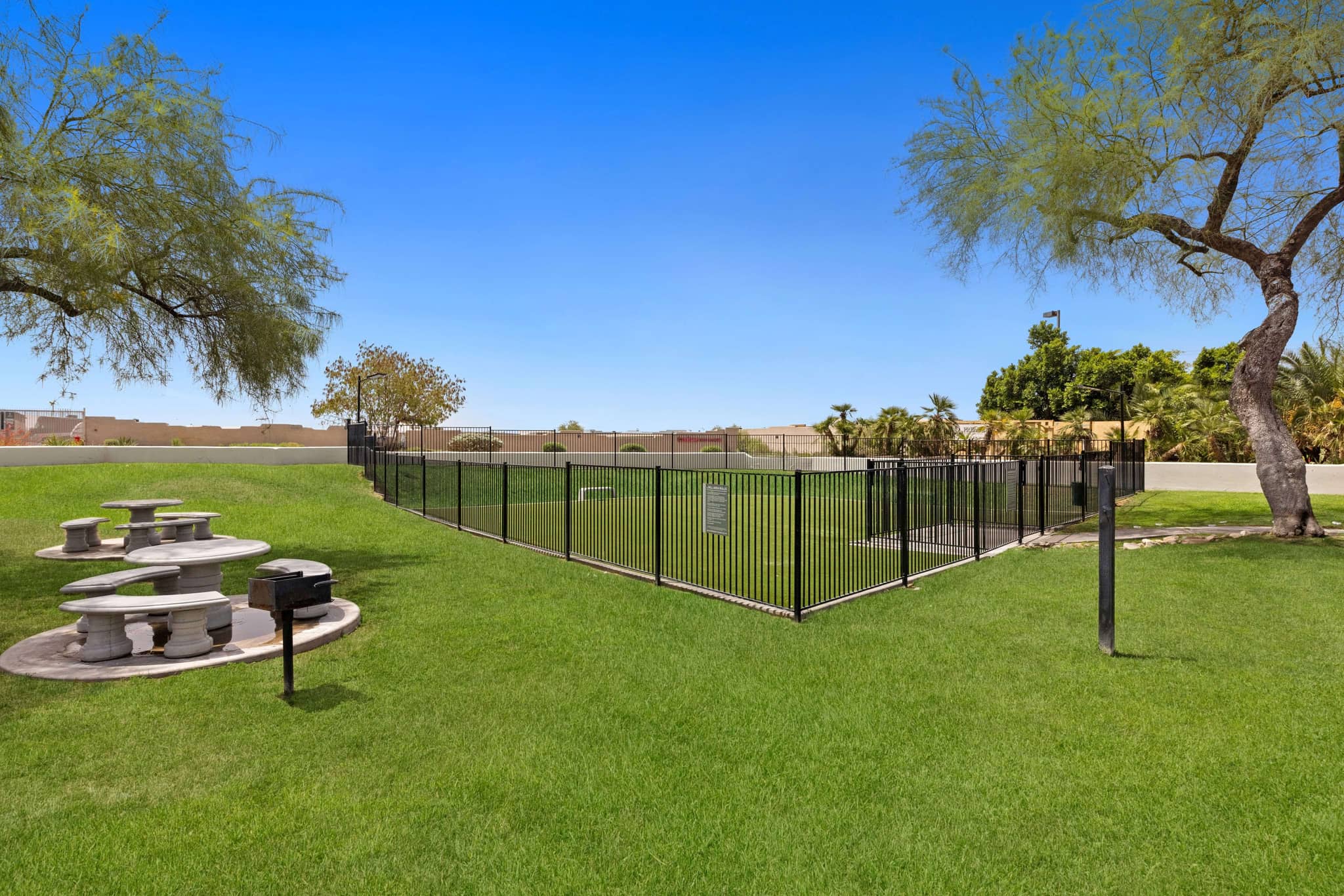 Cortland Scottsdale Mountain photo 31