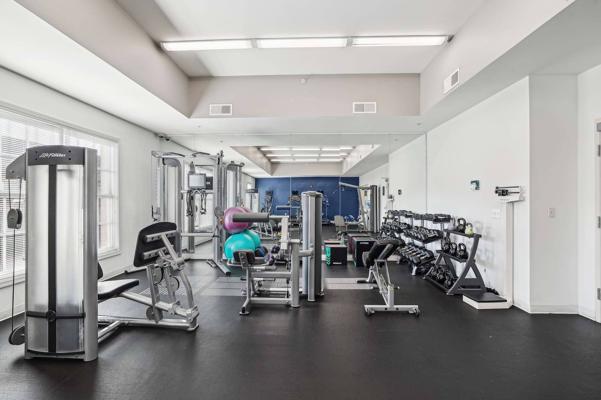 Cortland Alexandria photo 11