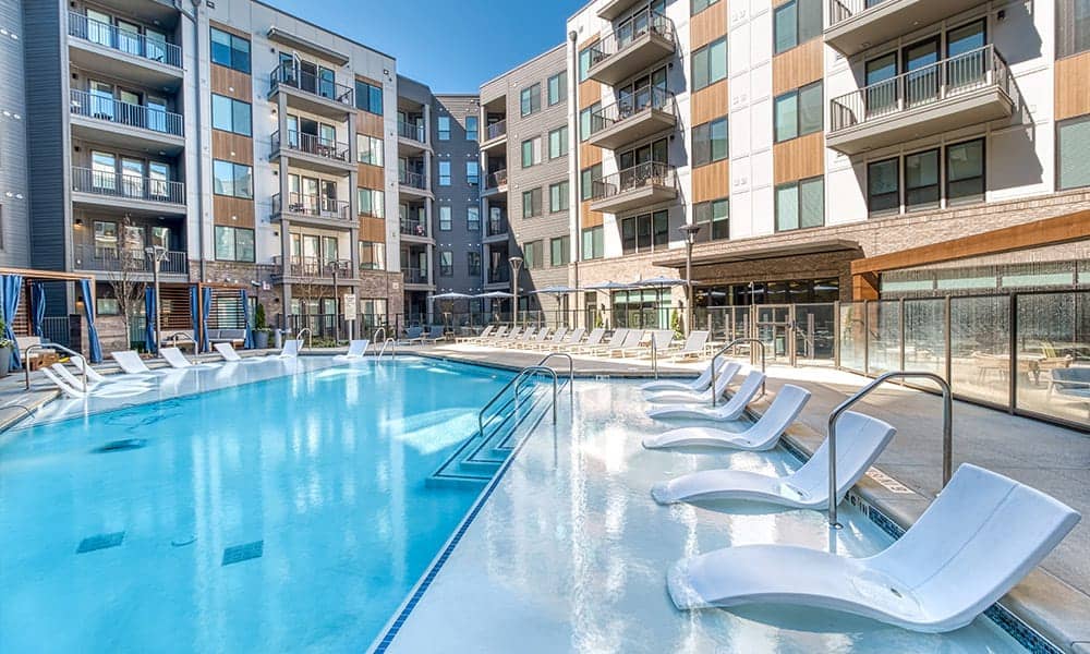 Cortland Oleander photo 53