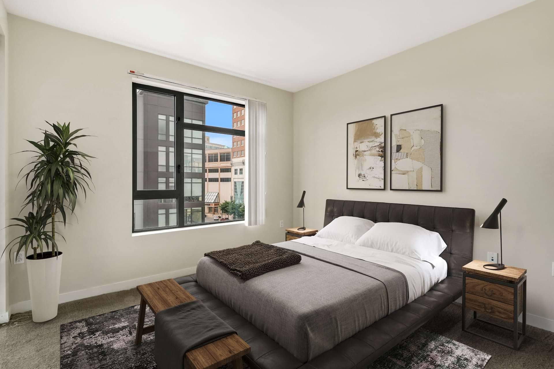 Cortland Ballston photo 16