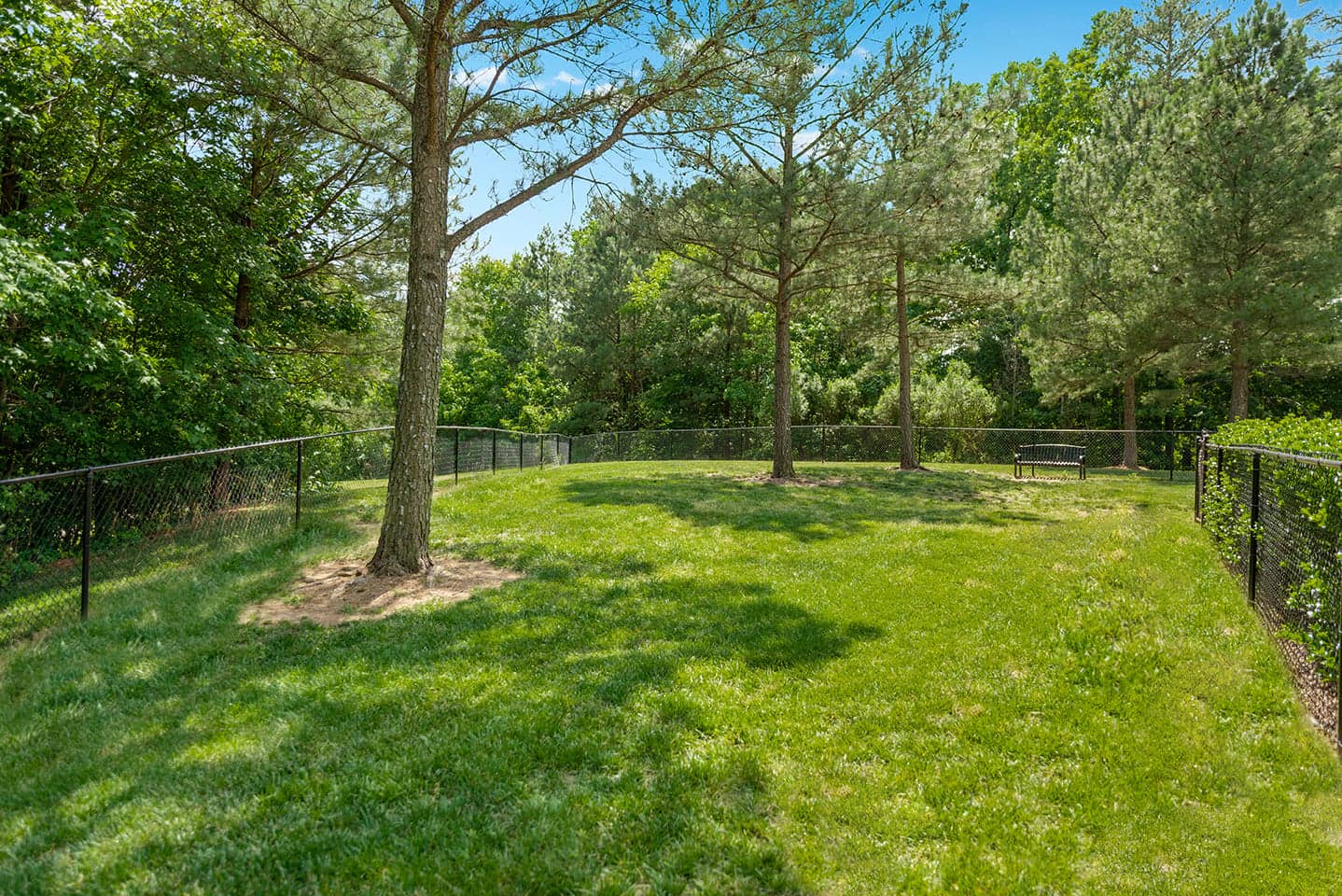 Cortland Brier Creek photo 43