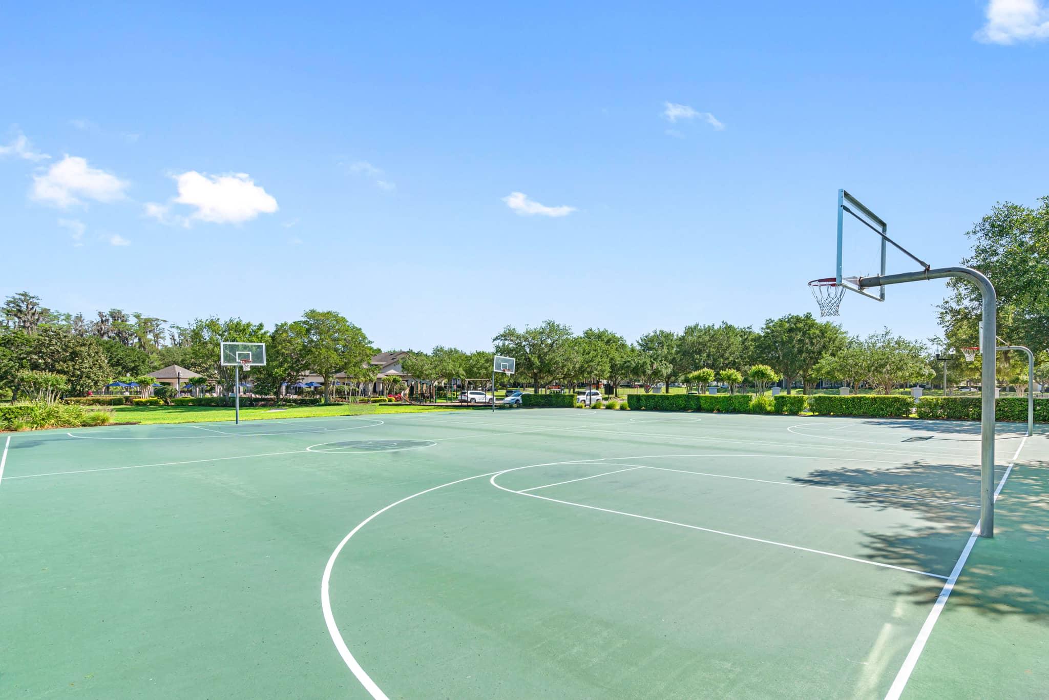 Cortland Independence photo 25