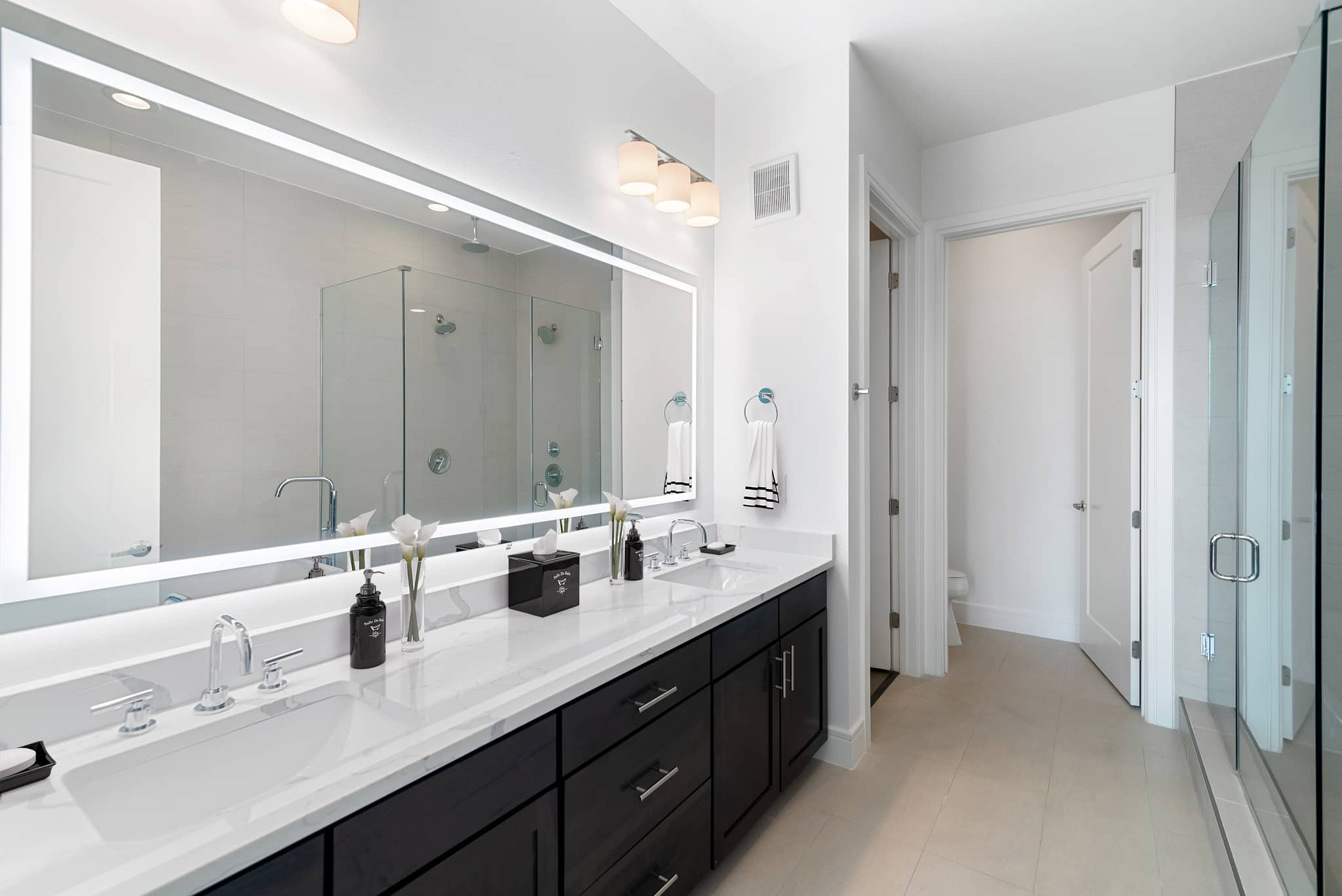 Cortland M-Line photo 46