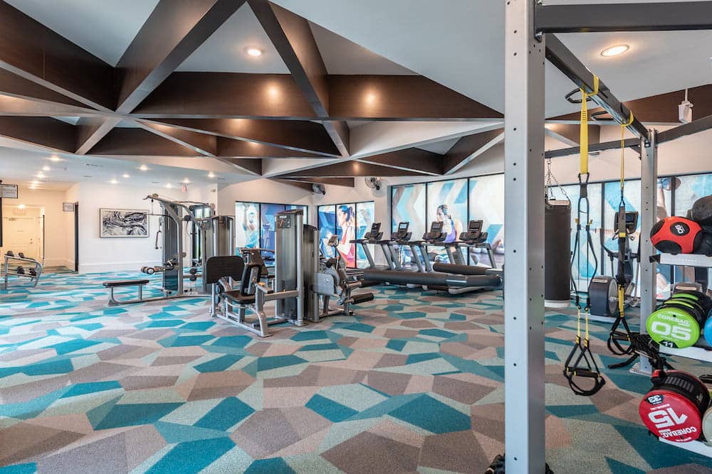 Cortland Fossil Creek photo 18