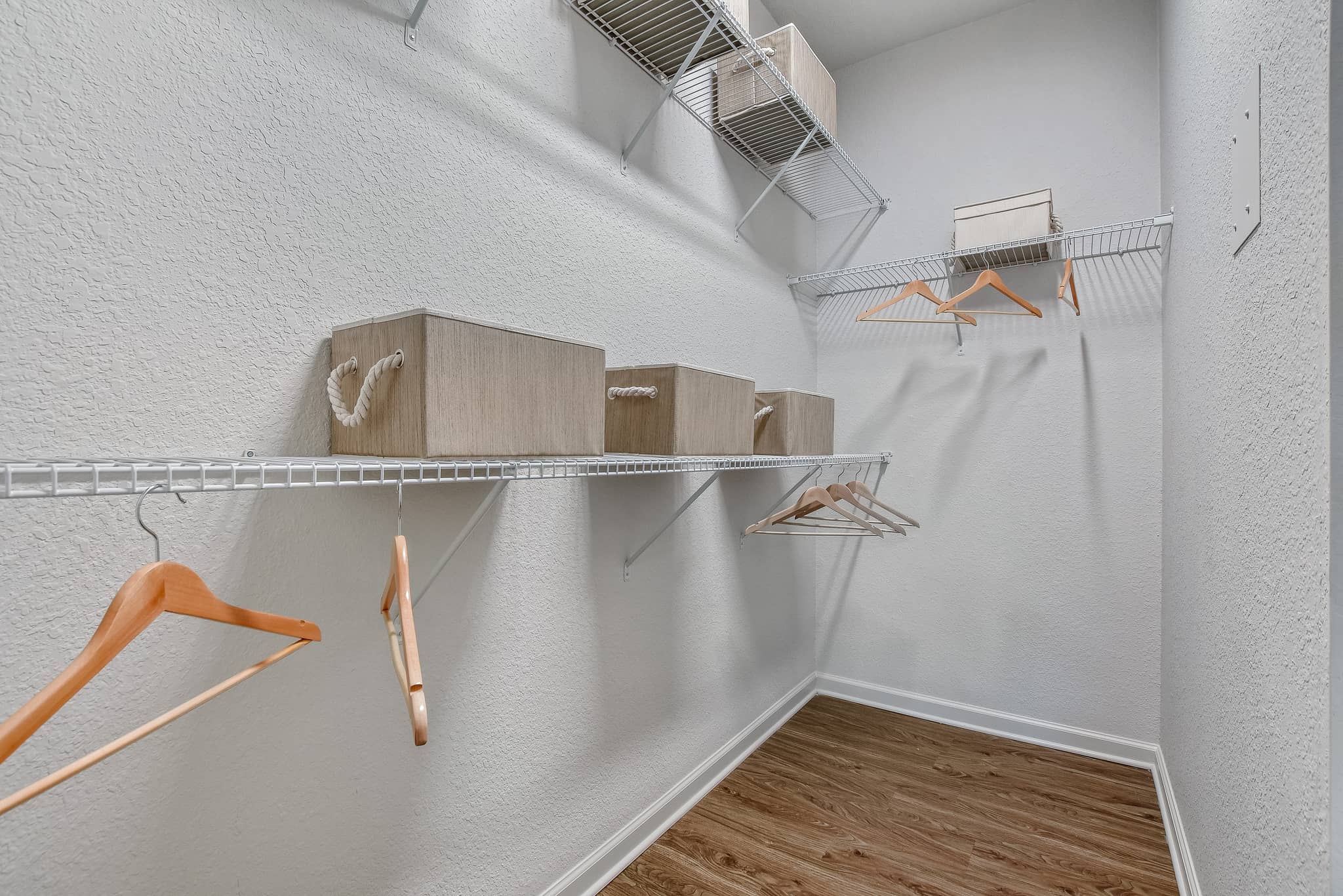 Cortland Arbor Hills photo 12