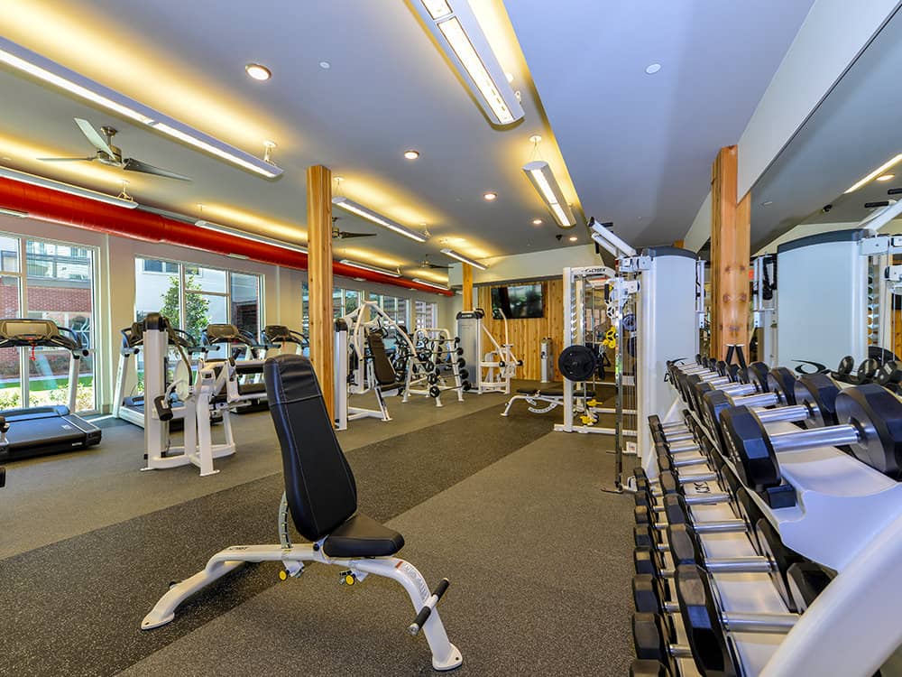 Cortland at Phipps Plaza photo 18